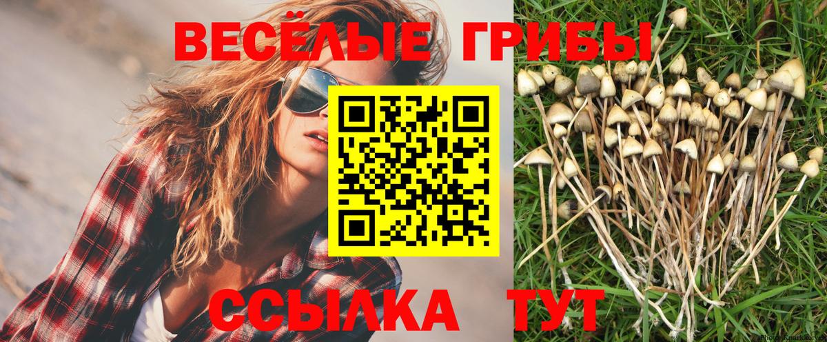Cocaine Можайск