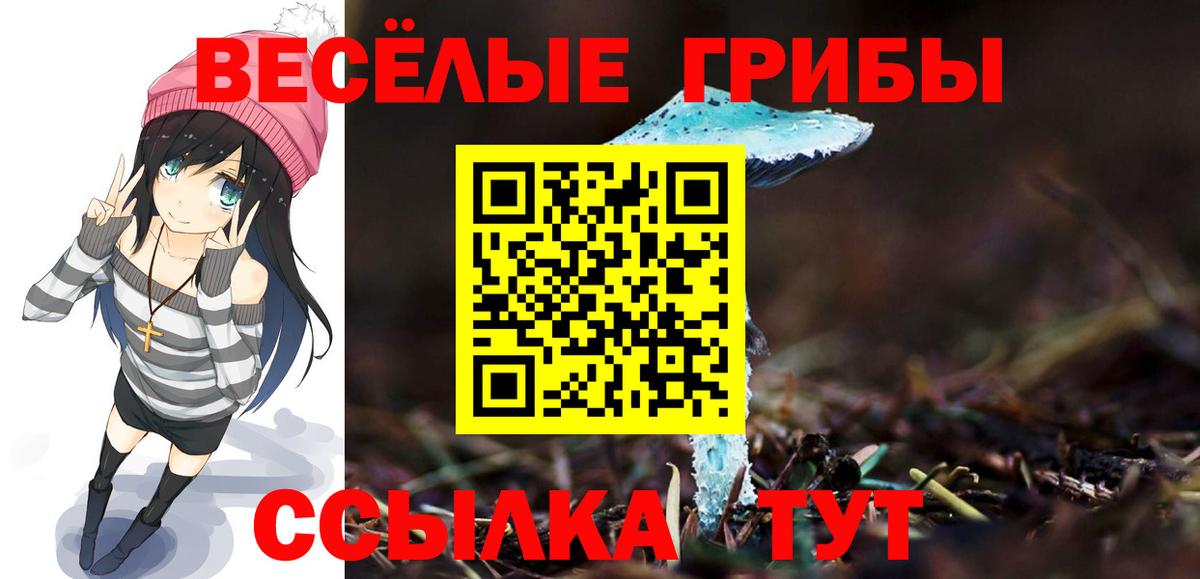 Можайск  Псилоцибиновые грибы мухоморы  Вход с VPN 